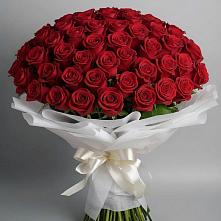 Букет 101 Красная роза Блэк Мэджик в Фокино Брянской области