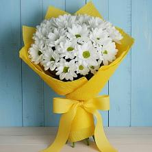 Букет цветов из:  Хризантемы в Фокино Брянской области