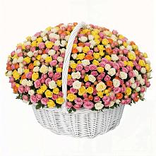 Премиум букет из: Розы в Фокино Брянской области