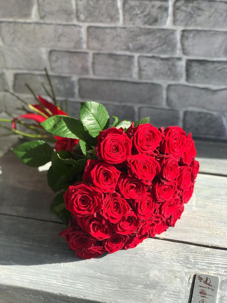Букет Красные розы Фридом в Фокино Брянской области