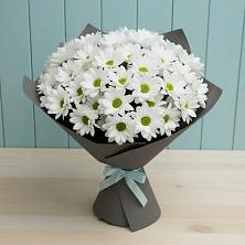 Букет цветов из:  Хризантемы в Фокино Брянской области