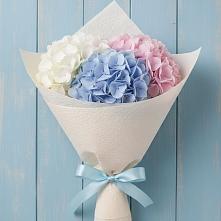 Букет цветов из:  Гортензия в Фокино Брянской области