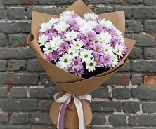 Букет цветов из:  Хризантемы в Фокино Брянской области