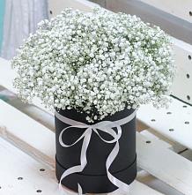 Цветочная композиция из Гипсофила в шляпной коробке #REPLACE_PRED# Фокино Брянской области