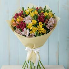 Букет цветов из:  Альстромерии в Фокино Брянской области