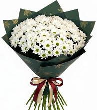 Букет цветов из:  Хризантемы в Фокино Брянской области