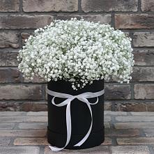 Цветочная композиция из Гипсофила в шляпной коробке в Фокино Брянской области