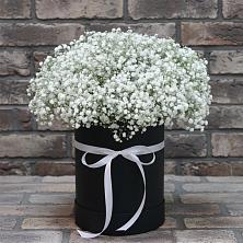 Цветочная композиция из Гипсофила в шляпной коробке в Фокино Брянской области