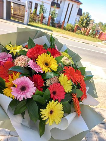 Букет цветов из: Герберы в Фокино Брянской области