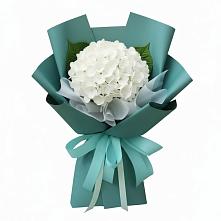 Букет цветов из:  Гортензия в Фокино Брянской области